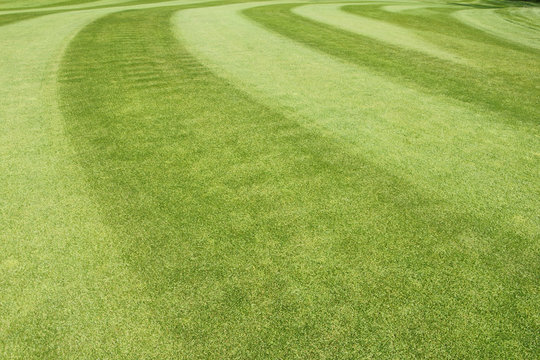 golf course