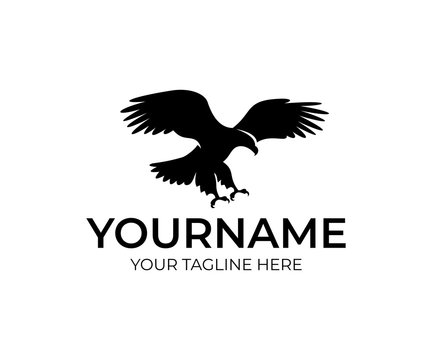 Flying eagle, bird and animal, logo design. Wildlife, nature and wild, vector design and illustration