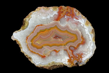 A cross-section of agate. Multicolored silica rings colored with metal oxides are visible. Origin:...