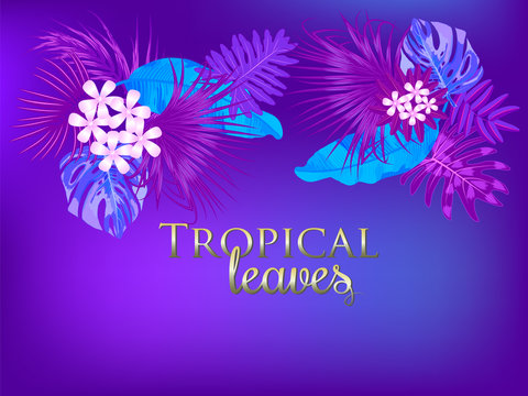 Tropical vector background in Proton Purplel color, trend concept.