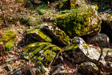 water, forest, nature, river, stream, waterfall, moss, rock, green, stone, landscape, tree, spring, creek, rocks, mountain, flowing, brook, natural, wood, environment, flow, cascade, beautiful, motion