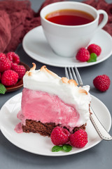 Piece of baked Alaska with chocolate sponge cake, raspberry ice cream and meringues, on a white plate, vertical