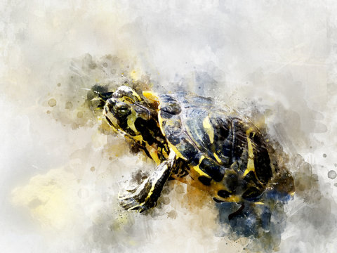 digitaly created painting watercolour efect of black yelow watercolor turtle