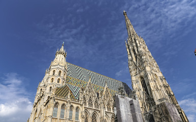 Fototapeta premium St Stephens Cathedral in Vienna, Austria
