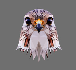 Falcon head on grey background, low poly triangular and wireframe vector illustration EPS 10 isolated. Polygonal style trendy modern logo design. Suitable for printing on a t-shirt.