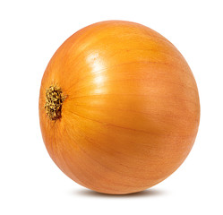 Fresh onion isolated on white background  with clipping path