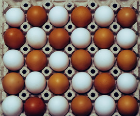 White and brown chicken eggs