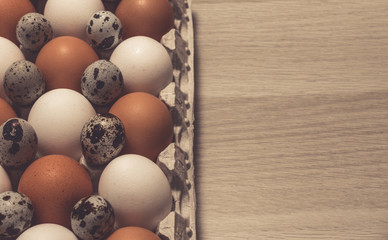 Still life of chicken and quail eggs