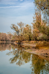Fototapeta na wymiar Portrait view of river and trees in the background. Autumn in Kopački rit Nature Park (Amazon of Europe), Croatia.