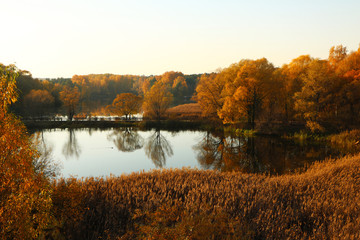 beautiful autumn day with colorful trees and light