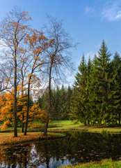 Autumn park near St. Petersburg