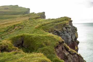 Dramatic and high cliffs of Latrabjarg, west fjords, Iceland