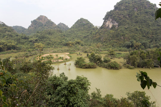 Natural park with birds in Vietnam