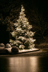 Glowing christmas tree with light string