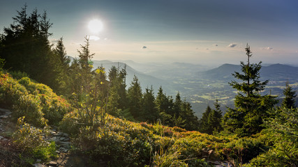 Sunset scenery on Smrk mountain in Moravskoslezske Beskydy in Czech republic with clear sky and...