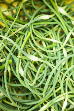 Garlic scapes