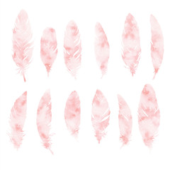 Hand painted pink watercolor feathers set isolated on white background. Abstract boho decoration elements. Illustration with paint texture.