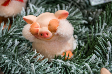 Cute piggie in red hat with red present box decorate Christmas tree.