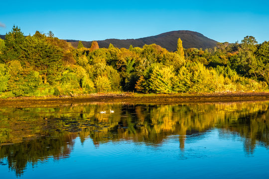 Glengarriff bay, Ring of Beara, relatively unexplored and less known to tourists than the Ring of Kerry. Lush natural beauty, wild landscapes, unspoilt seascapes and wildlife.