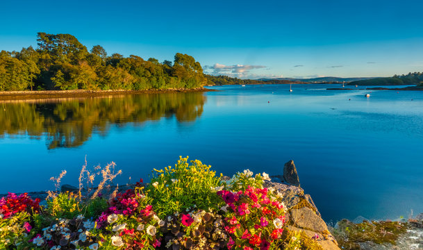 Glengarriff bay, Ring of Beara, relatively unexplored and less known to tourists than the Ring of Kerry. Lush natural beauty, wild landscapes, unspoilt seascapes and wildlife.
