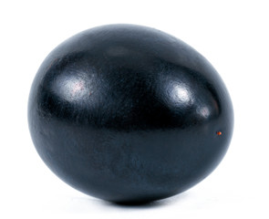Grape isolated on white background. One berry. Dark grape. Blue grape.