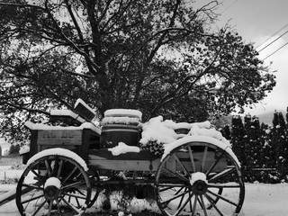 Fototapeta na wymiar old carriage covered in snow