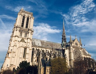 Fototapeta na wymiar Notre-Dame 