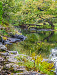 Meeting of the waters, Muckross Lake, Killarney National Park, County Kerry, Ireland.