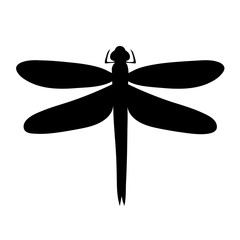 vector, isolated, silhouette dragonfly, black