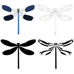 isolated, dragonfly insect, set, with silhouette