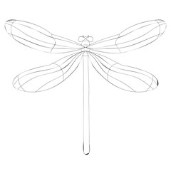 vector, isolated, dragonfly sketch, contour