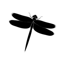 silhouette dragonfly, insect