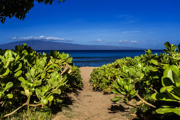 Fototapeta na wymiar Kaanapali - Maui - Hawaii