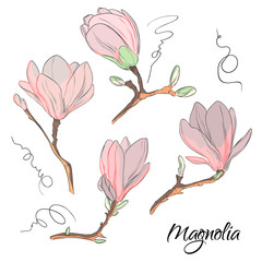 Magnolia flower sketch. Repeat botanical floral print. Modern nature elements.