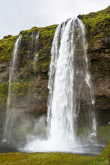 Obraz premium Seljalandsfoss view from far, ring road, Iceland