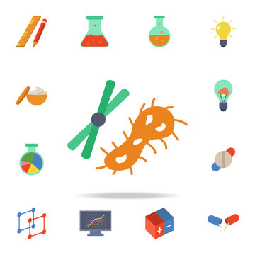 colored bacteria icon. Detailed set of colored science icons. Premium graphic design. One of the collection icons for websites, web design, mobile app