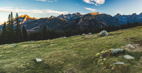 Rusinowa Polana - Tatra Mountains © grzegorz_pakula