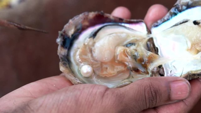 Close up, person finds pearl in oyster