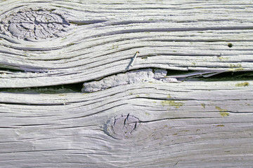 background of wooden plank texture wall with selected tone color. Abstract background of an old wooden wall with a bright texture. paint watercolor pastel