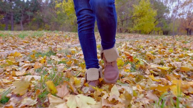 Woman feet walking in autumn park covered with yellow leaves. Close up legs in warm shoes walking outdoors on nature. Girl wearing stylish boots enjoying fall weather.