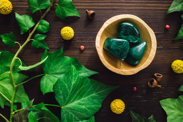 Polished Malachite with Ivy and Craspedia