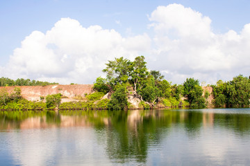 Fototapeta na wymiar Tree on riverside, Shadow of tree reflect on the river , Nature background, Beautiful Cloudy