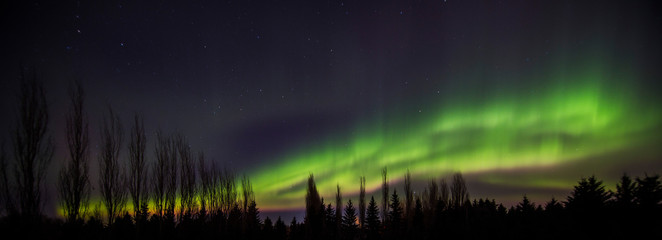 Northern Lights in backyard Canada