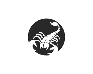 Scorpion Logo Template