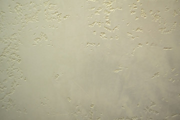 decorative plaster texture. Gray structural plaster