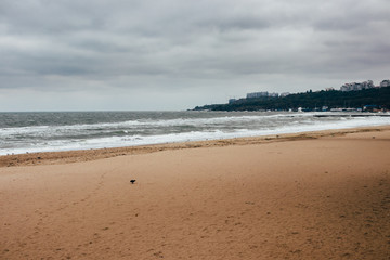 Fototapeta na wymiar Seascape with sand beach in cloudy weather
