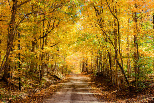 Fall Indiana Road