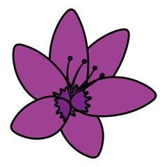 tropical flower icon