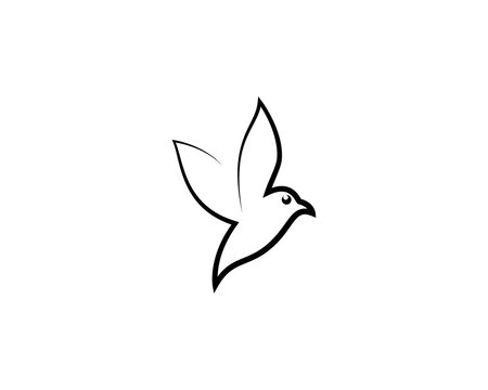 Hummingbird logo template vector icon