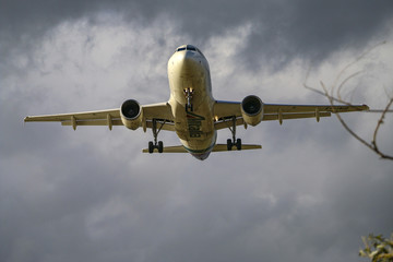 Airbus 320
